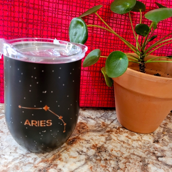 Other - Aries 20 oz Tumbler! BPA free